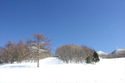 Snow Freak Sunrise – Yamagata, WA