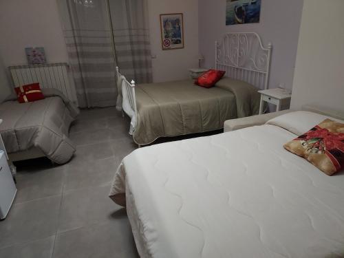 B&B Petra Hercules 5