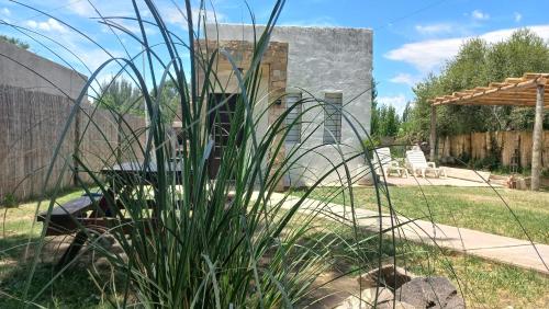 Cortaderas de La Villa in Veinticinco de Mayo