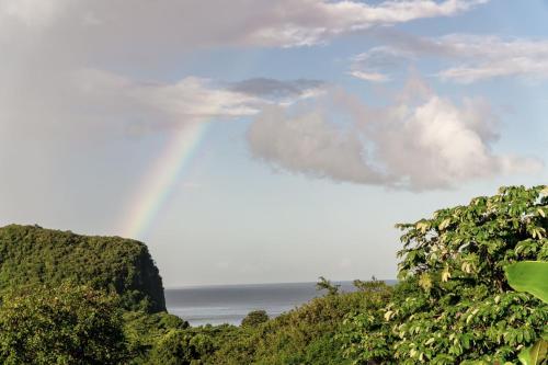 สภาพแวดล้อมโดยรอบ, Tranquil Vistas of Marigot in อ่าวมาริกอท