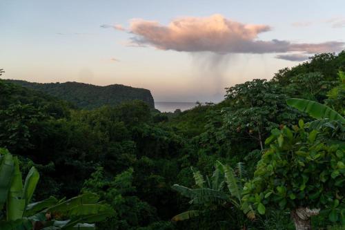 สภาพแวดล้อมโดยรอบ, Tranquil Vistas of Marigot in อ่าวมาริกอท