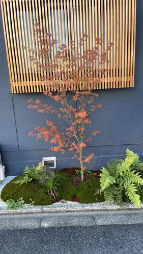 静雅の宿