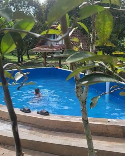 Úszómedence, Sari Chempaka Home Stay in Karak