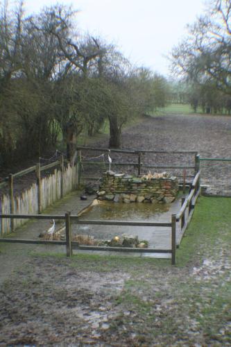 B&B Le Relais de Charlinette - image 7
