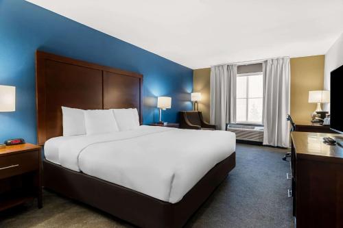 Comfort Inn & Suites near Tinley Park Amphitheater in Tinley Park, USA