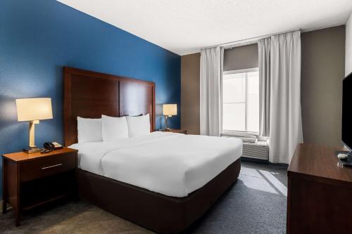 Comfort Inn & Suites near Tinley Park Amphitheater - image 2