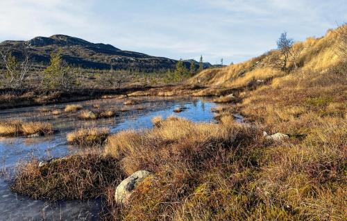 Stunning Home In Flå With Sauna Stunning Home In Flå With Sauna