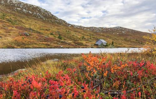 Stunning Home In Flå With Sauna Stunning Home In Flå With Sauna