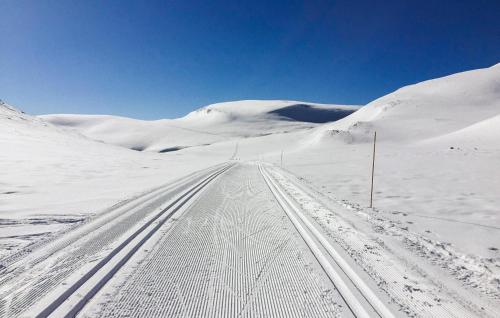 Stunning Home In Flå With Sauna Stunning Home In Flå With Sauna