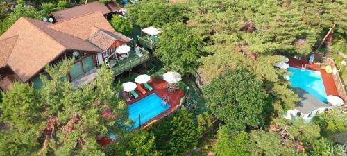 Hoengseong Marshmallow Pool Villa - pets allowed in Hoengseong-gun