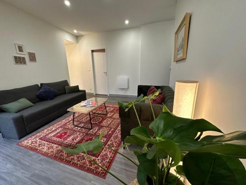 Maison spacieuse et lumineuse gîte à louer Saint-Étienne