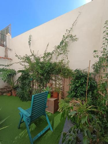 Climber House Palma de Gandia in Palma de Gandia