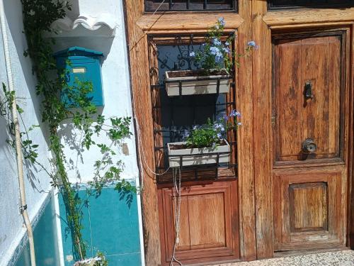 Climber House Palma de Gandia in Palma de Gandia