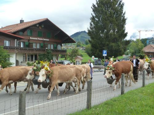 Hotel Restaurant Sunnmatt - image 12