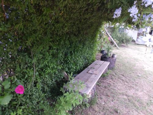 Siempre bien in Balneario Buenos Aires