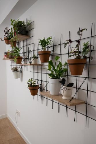 Mountain and City View with Underground Parking Mountain and City View with Underground Parking