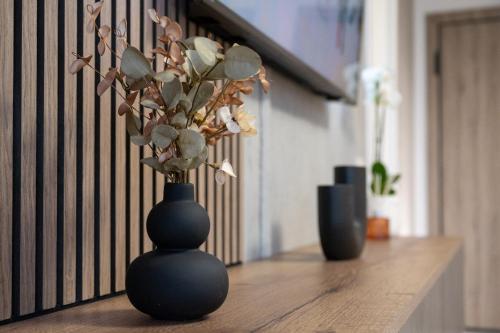 Mountain and City View with Underground Parking Mountain and City View with Underground Parking