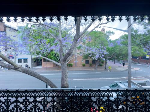 Serenity home in the heart of city in Glebe