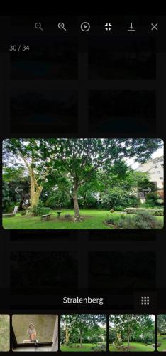 Stralenberg Stralenberg