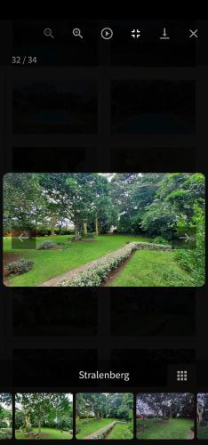 Stralenberg Stralenberg