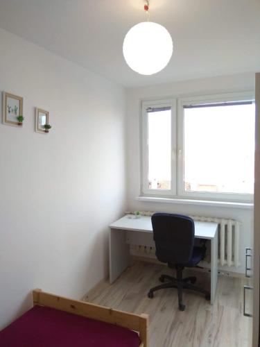 Single private room in a 5 room shared apartment, Vratislav (fotografie 3)