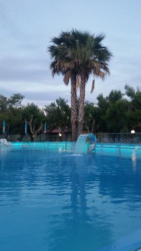 Camping Led Zeppelin