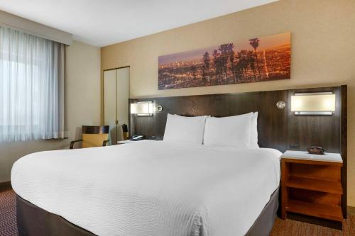 Best Western Royal Palace Inn & Suites - image 7