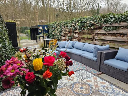 陽台/露台, Ferienhaus am Fuße der Dünen! BG05 (Ferienhaus am Fuße der Dunen! BG05) in 比赫凱爾克