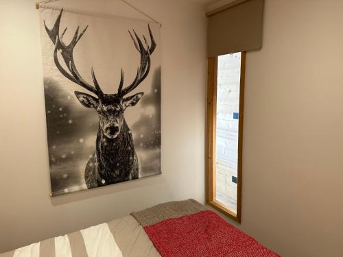 Appartement rénové cosy avec belle vue Appartement rénové cosy avec belle vue