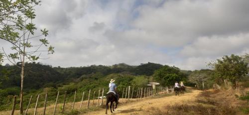 Alquiler de caballos y cabalgatas por el Atlántico (Alquiler de caballos y cabalgatas por el Atlantico) in Malambo