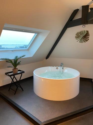 Les Suites de Bougainville 3