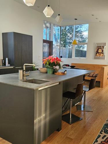 Fall-Winter Mid-Century Modern Relaxing, Retreat in Silver Spring, USA