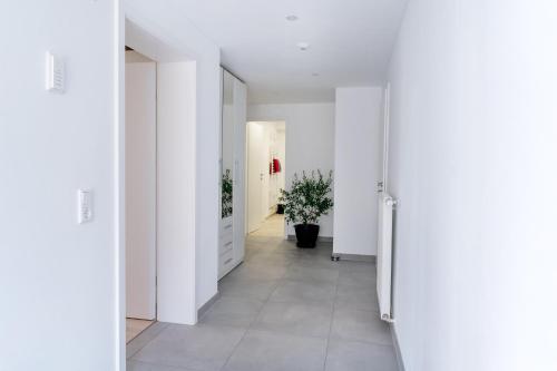 مدخل, Ferienwohnung Sonnenschein in وينهيم
