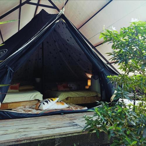 The Backyard Glamp - Exclusive Glamourous Camp in San Rafael