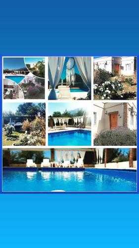 CABAÑAS DEL ANGEL