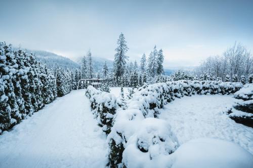 VisitZakopane - Janosik Apartment, Zakopane (fotografie 10)