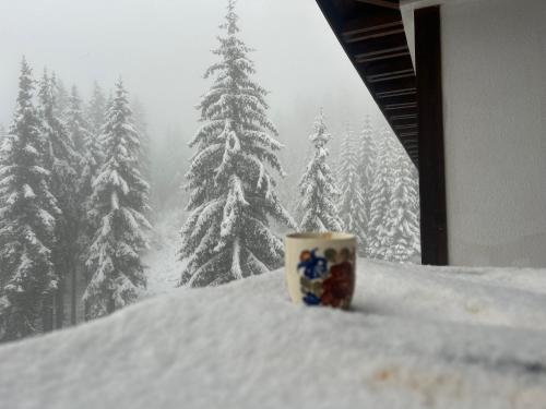 Bambi, Pamporovo (foto 6)