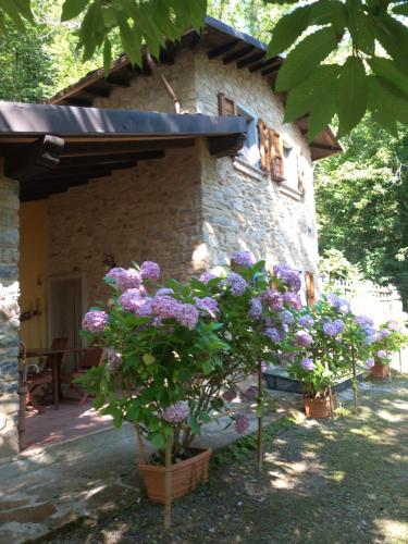Chalet - Metato sulle Alpi Apuane, Mezzana (Foto 3)