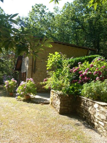 Chalet - Metato sulle Alpi Apuane, Mezzana (Foto 4)