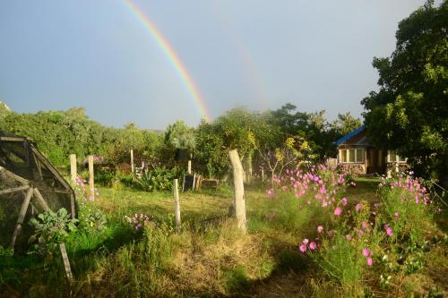 Tao Sierras de Aiguá, cabaña de la luna