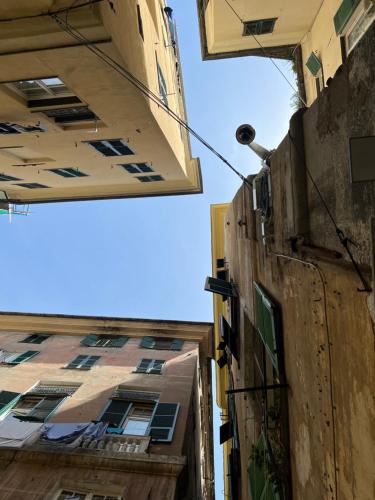 I Rolli a Genova, Genova (photo 10)