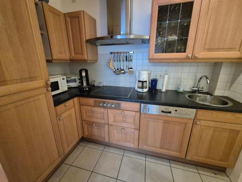 Kegelrobbe in Norden