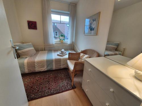 Kegelrobbe in Norden