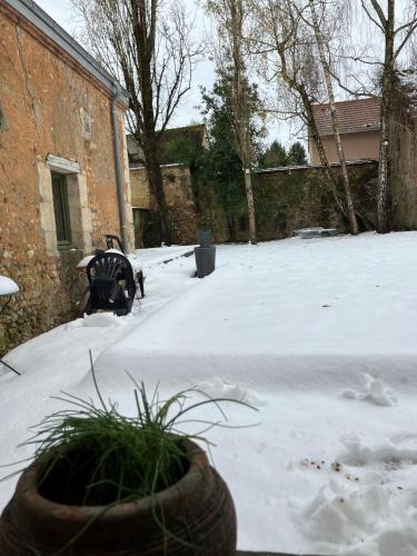 Dārzs, La Bourrellerie - Cocon au cœur du Perche in Vicheres ciems