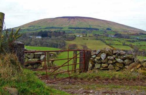 Knocklayde View