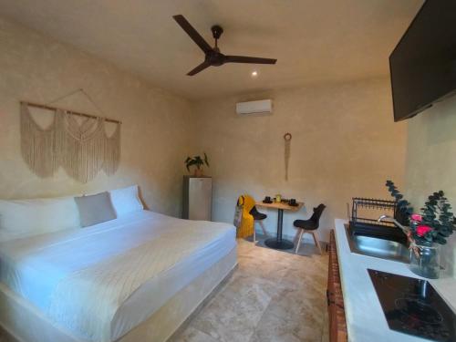 Casa Lupita Room Type - Studio