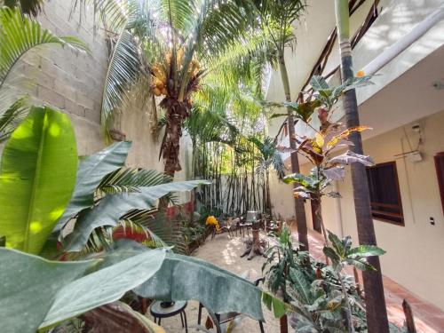 Palvelut, Casa Lupita in Tulum