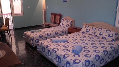 Guest House Dragomir - image 9