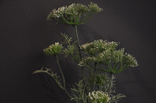 Lille A Part - Gites Urbains - image 6