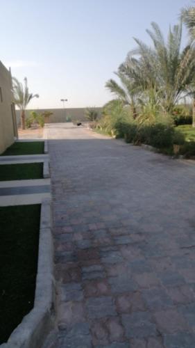 شالية القلوب السعيدة, Abú Zabí (fotografie 9)